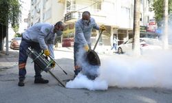 Mersin Büyükşehir Belediyesi, Haşerelere Karşı Mücadeleyi Devam Ettiriyor