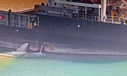 Mersin'de denizi kirleten gemiye 13 milyon TL'lik ceza uygulandı