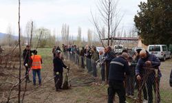 Meyve fideleri satışı 30 Mart'ta gerçekleşecek