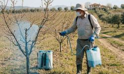 Meyve Yetiştiricilerine Bordo Bulamacı Hakkında Bilgilendirme