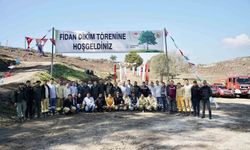 Milas'taki Yangın Alanları Fidanlarla Yeniden Yeşeriyor