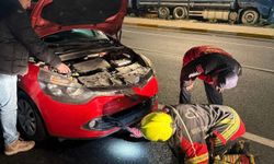 Motor Kısmına Sıkışan Tilki, Ekipler Tarafından Kurtarıldı