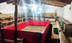 Muş'ta horoz dövüşü organize eden 23 kişi hakkında ceza verildi