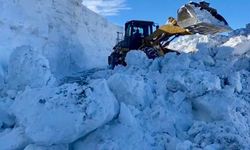Muş'ta Kar Yağışı Nedeniyle Mahsur Kalanlar Kurtarıldı