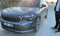 Muş'ta Yola Fırlayan Köpeğe Araç Çarptı