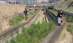 Nazilli Belediyesi haşere ve sivrisinekle mücadelede durmaksızın çalışıyor