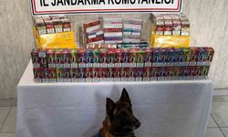 Niğde'de Kaçak Ürünlere Yönelik Operasyonda Çok Sayıda Malzeme Ele Geçirildi