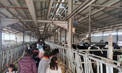 Öğrenciler, tarım uygulamalarını yerinde keşfetti