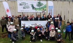 Ordu'da Fidanlar Toprakla Buluştu