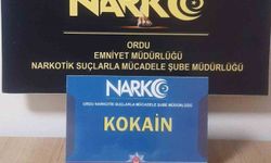 Ordu'da Uyuşturucu Operasyonlarında İki Kişi Tutuklandı