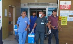 Organ Bağışıyla 4 Hayata Umut Oldu