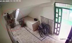 Özel Eğitim Merkezinin Düşmedi Dediği Otizmli Gençten Merdiven Düşme Anı Görüntüleri Ortaya Çıktı