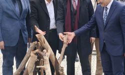 Patnos'ta Baharın Coşkusuyla Nevruz Ateşi Yakıldı