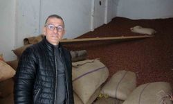 Ramazan Bayramı Öncesi Fındık Fiyatları 240 Liraya Düştü