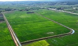 Samsun'daki Tarımsal Alanların Bozulması Cezalandırıldı: 48 İşlem Gerçekleştirildi