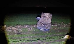 Şanlıurfa'da meydana gelen trafik kazasında 5 aile bireyi yaralandı