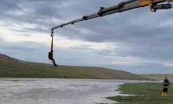 Şanlıurfa'da suya kapılan traktör sürücüsü vinçle kurtarıldı