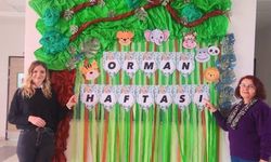 Sarıgöl'de Orman Haftası Pano Etkinliği Yoğun İlgiyle Karşılandı