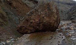 Sason'da Yamaçtan Düşen Kaya, Karyün Köyü Yolunu Kapatmış Durumda