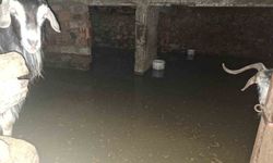 Sel, Ahırı Su Bastı; 12 Keçi Ekipler Tarafından Kurtarıldı