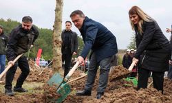Şeyh Edebali'nin vefatının 700. yılı için 700 çınar fidanı dikildi
