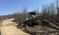 Sinop'ta Yeni Orman Taşıma Yolu Açılıyor