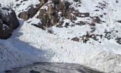 Şırnak-Hakkari kara yolu çığ nedeniyle trafiğe kapandı