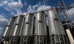 Şırnak'ta 2.500 Tonluk Yem Üretim Tesisinin İnşası Tamamlandı