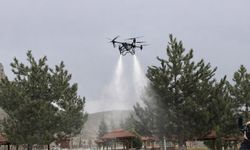 Sivas'ta Kene ile Mücadelede Hava ve Karadan Etkin Çalışmalar