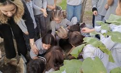 Söke'de Orman Haftası Kapsamında Fidanlar Toprakla Buluştu