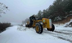 Spil Dağı Milli Parkı'nda karla mücadele çalışmaları