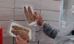 Su Ürünleri Üretim Tesislerinde Denetim Faaliyetleri