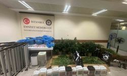 Sultanbeyli'de Kenevir Serasına Operasyon: 21 Kilo Hint Keneviri Ele Geçirildi