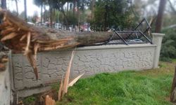 Tavas'ta Fırtına Hayatı Olumsuz Etkiledi