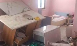 Trabzon'da yayla evine giren ayı, evi harabeye çevirdi