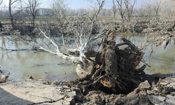 Tunca Nehri Kıyısında Toprak Kayması: 9 Yıl Sonra Taşkınlar Zemin Üzerinde Etki Yarattı