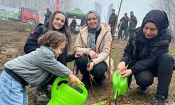 Türkeli'de Yüzlerce Fidan Toprağa Kazandırıldı