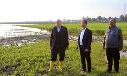 TZOB Başkanı Bayraktar: 'Çiftçilerimize acil nakit desteği sağlanmalı'