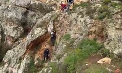 Uçurumdan Düşen Köpek, 4 Saatlik Müdahale ile Kurtarıldı