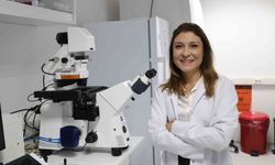 Uluslararası İş Birliği ile Kemik Erimesi Tedavisi Üzerine Çalışmalar Başladı