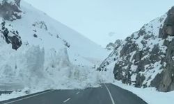 Van-Hakkari yoluna çığ düştü