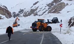 Van-Hakkari yolunda çığ felaketi: Çok sayıda araç yolda kaldı