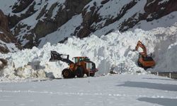 Van-Hakkari yolunda çığ nedeniyle müdahale çalışmaları devam ediyor