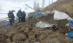 Van'da bir ahır çöktü, 23 küçükbaş hayvan hayatını kaybetti