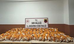 Van'da Gümrük Kaçağı Ürünler Ele Geçirildi