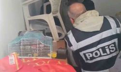 Yabancı turistlerin kredi kartlarını suistimal eden 4 şüpheli yakalandı