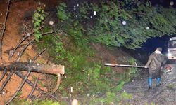 Yağışlar Ağaçları Yıktı, Yol Hızla Yeniden Açıldı