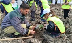 Yanan alan yeniden yeşeriyor: Aliağa'da yeni orman fidanları toprakla buluştu