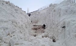 Yüksekova'da Çığ Meyve Bahçelerini Tahrip Etti: Köy Yolu Kar Tünelleriyle Yeniden Açılıyor