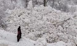 Yüksekova'da İkinci Çığ Olayı